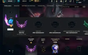 Mestre com 41 Champs e 9 Skins
