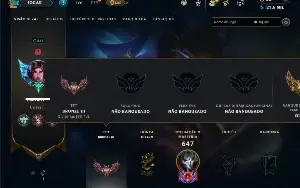 Unranked com TODOS os champs e 115 Skins ( ADC / JG / TOP )