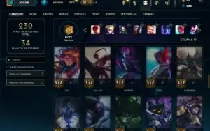 Unranked com 65 Champs e 27 Skins ( MAIN JG )