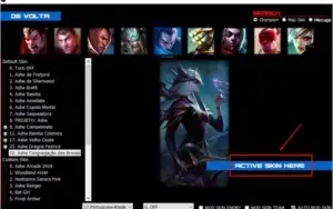 Use Qualquer Skin do Jogo