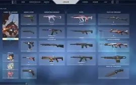 Conta barata Platina 1 full acesso no preço