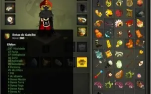 Set multi nivel 200 com dofusteuse + char 200