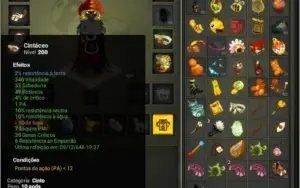 Set multi nivel 200 com dofusteuse + char 200