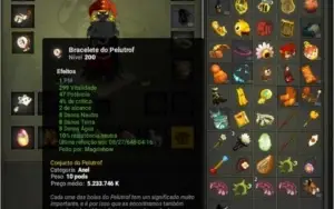 Set multi nivel 200 com dofusteuse + char 200