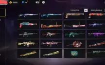 Conta Free fire antiga com evolutiva