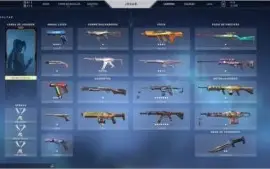 Conta valorant com skin