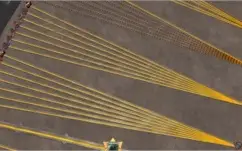 CONTA ALBION 200M DE FAMA