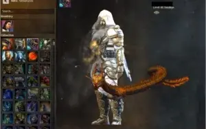 Conta Guild Wars 2 ( Heart of Thorns + Path of Fire )