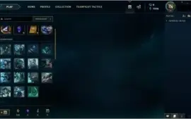 CONTA PLATINA 2