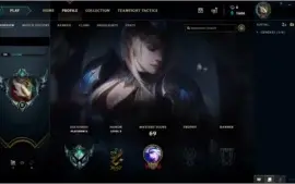 CONTA PLATINA 2