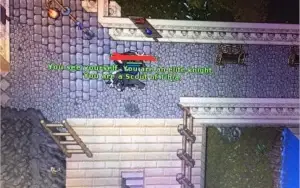 CONTA COM ELITE KNIGHT LVL 102 + 100 TIBIA COINS