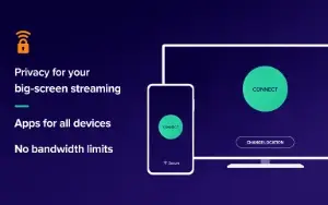 Avast SecureLine VPN - 1 Ano