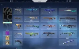 Conta Valorant 1400 reais gastos