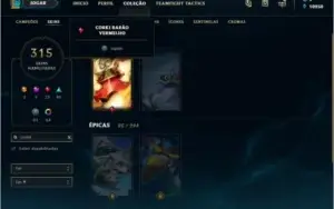conta lol com todos os champs e skins raras