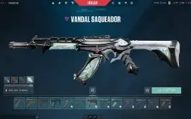 Conta De Valorant Com Muitas Skins!!!