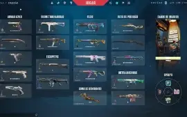 Conta De Valorant Com Muitas Skins!!!