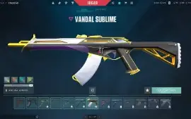 Conta De Valorant Com Muitas Skins!!!
