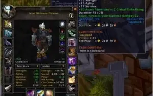 CONTA WOW CLASSIC shaman enhancement FULL BIS COM ITENS ROXO