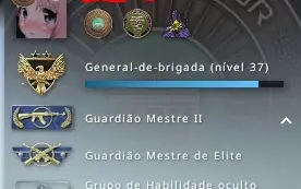 Conta steam de cs 8 anos com 4 medalhas