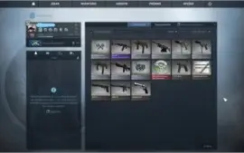 Conta Steam - CSGO, PUGB, Rainbow Six Siege, entre outros