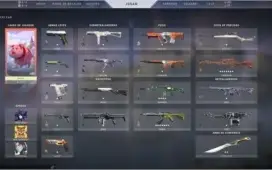 Conta de valorant muitas skins e facas!