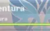 Conta genshim impact AR 42