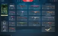 Vendo conta valorant platina 3 com skins com todos os dados