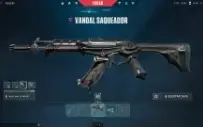 Vendo conta valorant platina 3 com skins com todos os dados