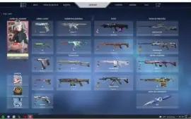 Conta Valorant 750 Reais gastos