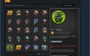 Conta prime csgo / COM BROCHES