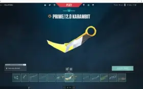 CONTA RADIANTE TODOS OS ATOS + DE 2 MIL GASTOS EM SKINS
