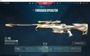 CONTA RADIANTE TODOS OS ATOS + DE 2 MIL GASTOS EM SKINS