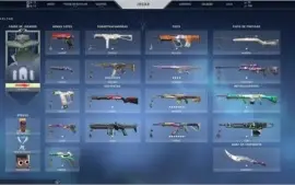 Conta de valorant skins brabas.