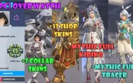 (Pc) Conta Overwatch + 2 Collab Skins + 13 Shop Skins etc.