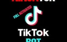 Ninjatok 2024 (Vitálicio): Cresça Rápido No Tiktok!