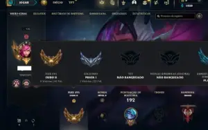 Prata 1 com 80 Champs e 17 Skins + 5 Fragmentos