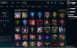 TODOS CAMPEÕES - BORDA PLAT - 169 SKINS - 100% SEGURA