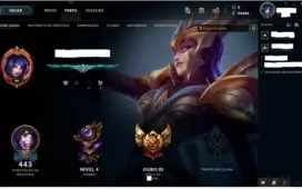 TODOS CAMPEÕES - BORDA PLAT - 169 SKINS - 100% SEGURA