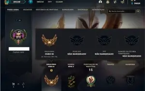 Conta ouro 3 com 23 Champs e 13 Fragmentos de skins