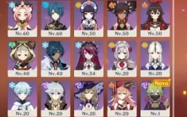 AR 56 - Ayato, Kokomi, Baal, Hutao, Ayaka + Armas T5