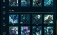 CONTA PLATINA 4 SOLO/Q | Platina 2 TFT | 43.305 E.A