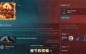 STEAM CS:GO PRIME OURO 1, VARIOS JOGOS E LEVEL 40