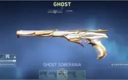 Conta de Valorant, SKINS RARICIMAS