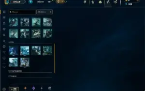 Esmeralda 4 com 25 Champs e 3 Skins + 6 Fragmentos