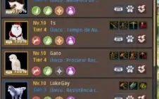 Mago sucessão lvl.62    583 de GS  P2W!