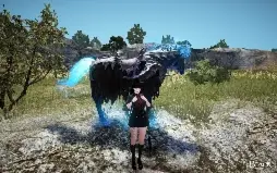 BDO barraca Pay to win, set boss pen