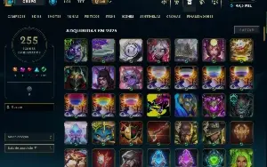 Conta Platina, +377 Skins, +119 Chromas, +47 sentinelas ETC.