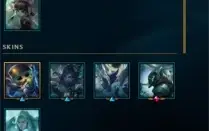 conta zed campeonato
