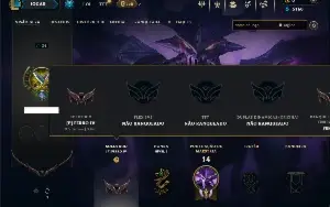 Ferro 4 com 30 Champs e 5 Skins