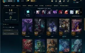 Ferro 4 com 30 Champs e 5 Skins